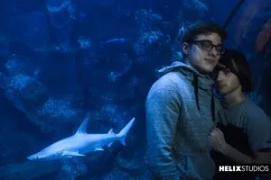 Aquarium - Cole Claire and Blake Mitchell